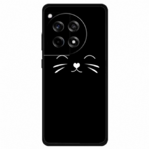 Tok Oneplus 12r Kat